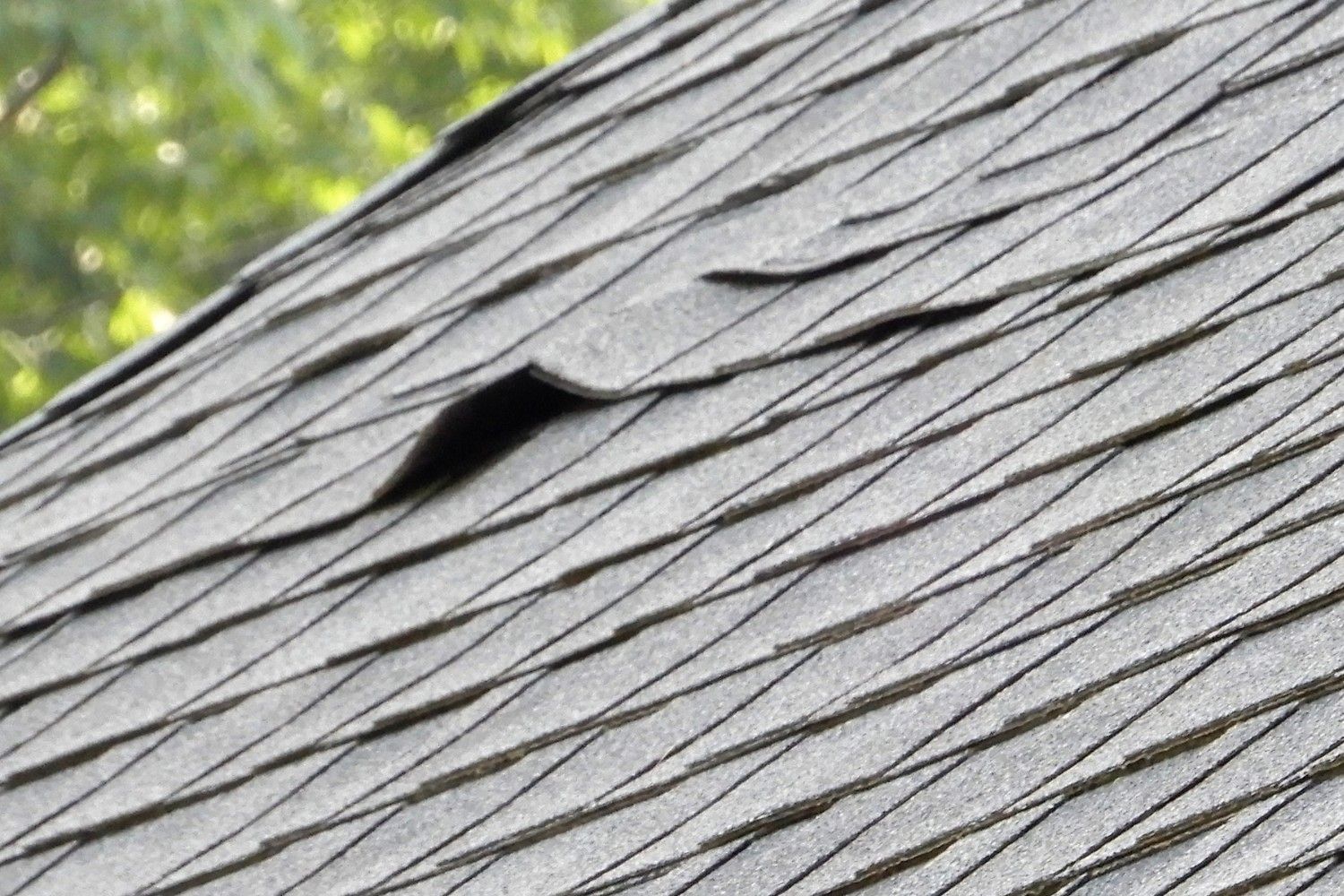damaged roof shingles